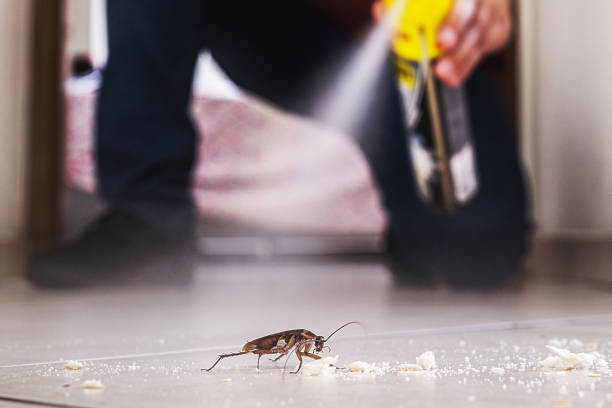 Best Cockroach Control Services  in Hamilton City, CA