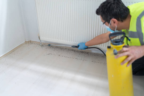 Best Pest Prevention Services  in Hamilton City, CA